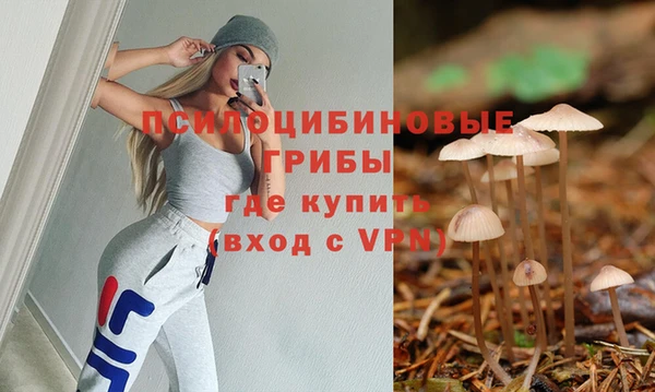 таблы Богданович